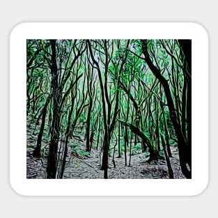 garayonay national park la gomera Sticker